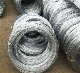 Factory 0.2mm 0.3mm 0.4mm 0.5mm 0.8mm 1.0mm 4.0mm Swg Bwg 8 10 12 16 18 20 Gauge Ss SAE1006/1008 SAE1050/1065 Zinc Coated Stainless Galvanized Steel Wire