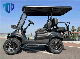  Pmsm System Electric Car RGB Light Double a Arm Constrution Golf Cart