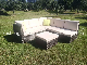 Modern Outdoor Leisure Rattan Sofa Set Steel Garden Furniture