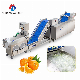  Multifunctional Food Vegetable Hair Roller Bubble Production Line Cleaning Selection and Cutting Machine