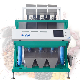  192 Channels Corn Coffee Bean Sorting Seed Rice Cashew Color Sorter Machine