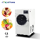  Vacuum Freeze Dryer Vegetables, Fruits and Foods Small Household Size Freeze Dryer 50 Degrees Celsius 8kg