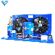 Shanghai Container Food Protection Cold Room Condensing Unit