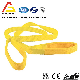 ASTM 1" 1600lbs Single Ply Polyester Webbing Sling with Lifting Eyes Sf: 5: 1