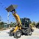 Multifunctional CE EPA Front Small Wheel Mini Loader with Grass Grab Fork/Auger/Snow Tyre/Cummins Engine Radlader at Stock