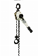  Hsh-E Type 1.5 Ton 5 FT Construction Lever Hoist with CE and GS Certification