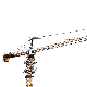 Famous Luffing Jib Tower Crane 12 Ton Lifting Capacity Slt160 (T5523-12) with High Quality