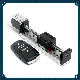  Wholesale Mini Linear Module Rail Guide Manufacturer Linear Guide Linear Actuator Linear Robot Linear Guide Rail High Speed Linear Slide Linear Motor