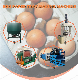 Automatic Egg Tray Carton Making Machine Production Line