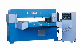  100t Automatic Feeding Precision 4-Column Plane Cutting Machine