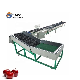  CE Approved Onion Apple Orange Washing Waxing and Sorting Machine