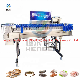 High Precision Weight Sorting Machine for Checking Box Bag Weigher