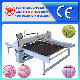 China Famous Computerized Single Needle Comforter Blanket Quilt Quilting Machine