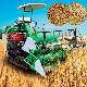 Wheat Harvesting Machine Mini Rice Combine Harvesters for Rice and Wheat