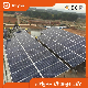 Africa Photovoltaic Panel 530W 550W 555W Solar Panel Cost Price