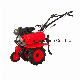 Farm Power Tiller, Cultivator, Mini Tiller, Model Gt500A/Gt900A manufacturer