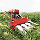 Small Walking Corn Harvester Front Mounted Wheat Paddy Rice Reaper Machine Harvesting Machine Rice Harvester manufacturer