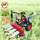 Mini Walking Corn Harvester Machine Paddy Reaper Grass Alfalfa Harvesting Machine Harvester Agricultural Machine manufacturer
