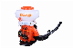 Knapsack Mist Duster Power Sprayer 3wf-3 for Agricultural with 14L 20L 26L Tank manufacturer