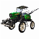  Self-Propelled Agriculture Sprayer with 15m Boom 700 Liter Tank