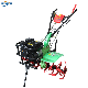 Power Weeder 7HP Petrol Engine with Top-Quality