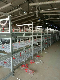 Poultry Farming Equipment Automatic Breeding Rearing Battery Cage for Broiler