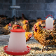  1.5L Plastic Poultry Feeder Pan Bucket Animal Feeders Drinkers Farm Equipment