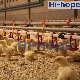 Poultry Automatic Nipple Drinking System for Chicken Farm