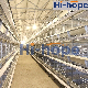 Complete Factory Price Poultry Farming Hen Chicken Coop Egg Layer Cage with Building