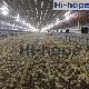 Prefabricated Building Steel Frame Construction Structure Poultry Farm Broiler Prefab Chicken House with Full Set Poultry Equipment