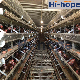 Layer Cages Automatic Poultry Battery Laying Hens Chicken Farm