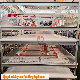 Battery Pan Feeding Rearing Broiler Cage for Poultry Chicken House