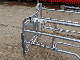 Livestock Equipment Farrowing Crate Pig Equipment for Farming manufacturer