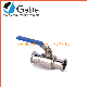 Sanitary SS304 316L Quick Mount Straight Through Ball Valve manufacturer