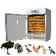 528 Automatic Incubator Transparent Owned New Family Chicken Incubator and Hatching Machine manufacturer