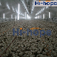 Poultry Shed Broiler Farm Equipment with Nipple Drinking Line and Feeding Pans manufacturer