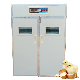  Hot Sale Chicken Egg Incubator Industrial Automatic Incubator for Sale