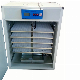 Top Automatic Poultry Farming Equipment Egg Incubator