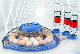  Fully Automatic New Automatic Adding Water System Mini Egg Incubator on Sale