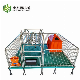 High Quality Hot Dipped Galvanized Tubes Pig Farrowing Crate for Sale