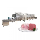 Automatic Industrial Microwave Frozen Chicken Meat Thawing Defrosting Machine Tunnel