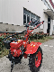 Gasoline Rotary Cultivator 9HP 177f Min Multi-Fuction Tiller From Green Power manufacturer
