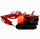 China Remote Operated Demolition Robot for Sale manufacturer