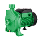  Powertec Water Supply System Industrial Horizontal End Suction Centrifugal Water Pump