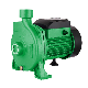 Powertec Water Supply System Industrial Horizontal End Suction Centrifugal Water Pump