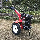  173f Mini Tiller with Diesel Engine Farm Machinery