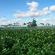  Agricultural Sprayer Farm Machinery Agricultural Machine Good Atomization Effect Spraying Potato Sprayer