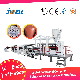 Jwell ASA Film Machine Plastic Extrusion Line Extruder Machinery for Packaging and Laminating