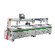  Woodworking CNC Laser Puncher for Wood Board Precise Boring with CE Certification