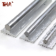 High Precision TBR 16 20 25 30 Linear Guide Rail